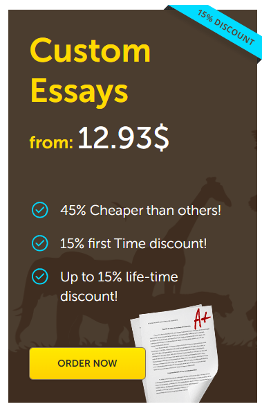 essay writing on sale
